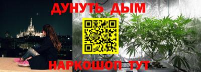МДПВ Моздок