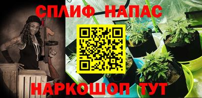 МДПВ Моздок