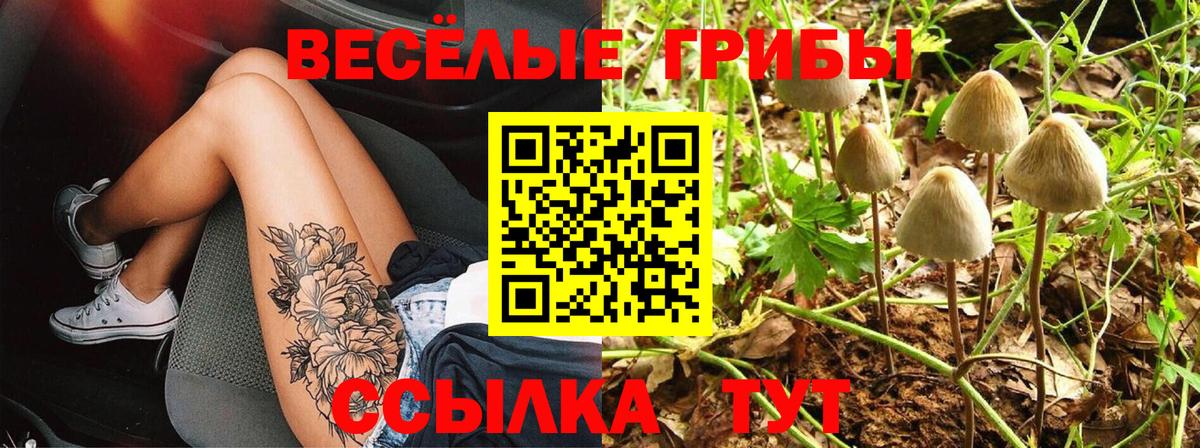 Петропавловск-Камчатский  Псилоцибиновые грибы MAGIC MUSHROOMS  Вход с VPN 